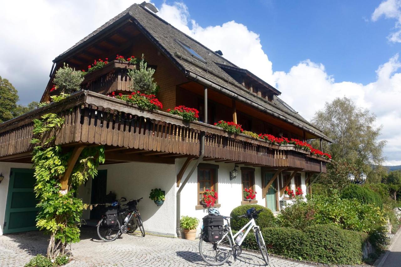 Hollhouse - Bed & Breakfast Hinterzarten Eksteriør billede