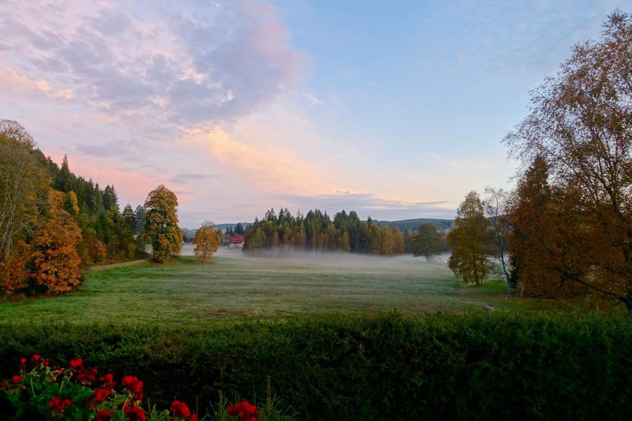 Hollhouse - Bed & Breakfast Hinterzarten Eksteriør billede