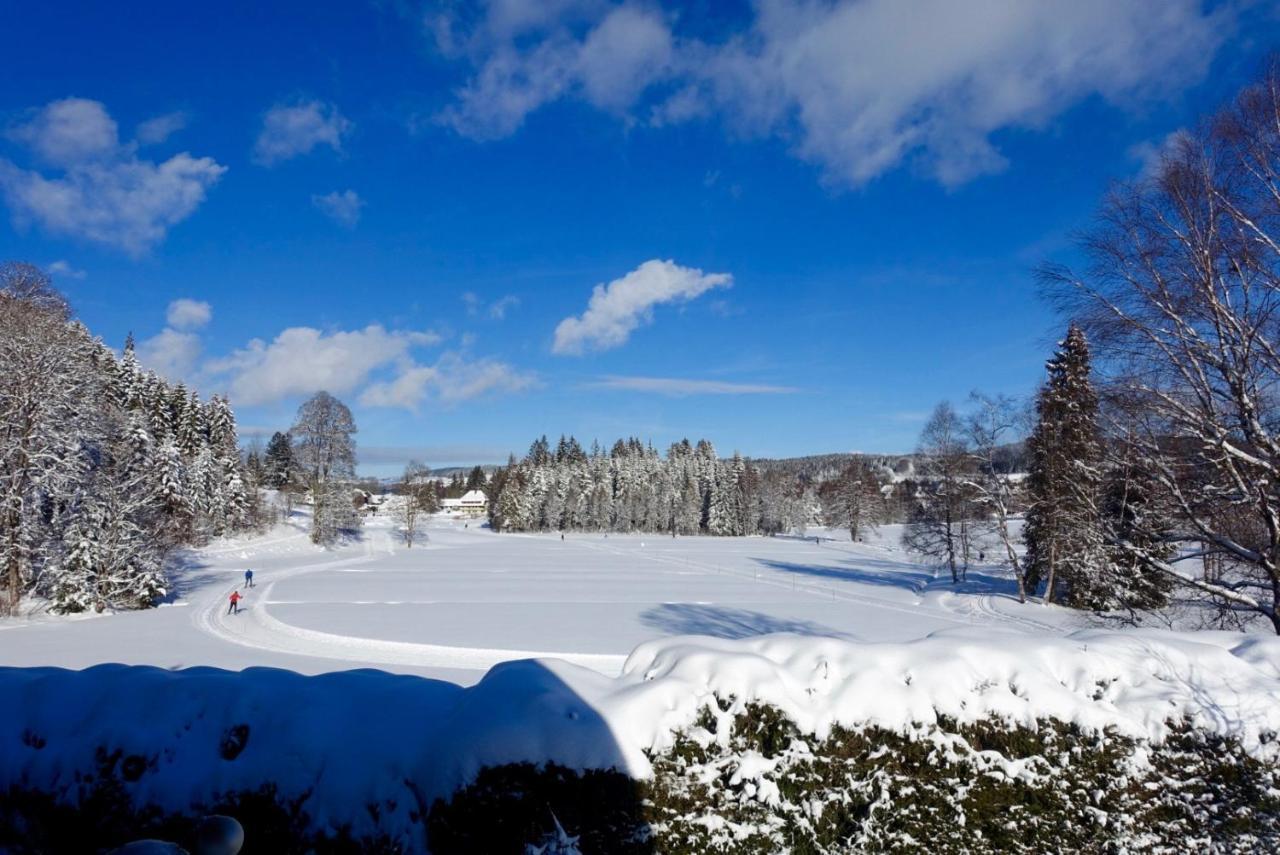 Hollhouse - Bed & Breakfast Hinterzarten Eksteriør billede