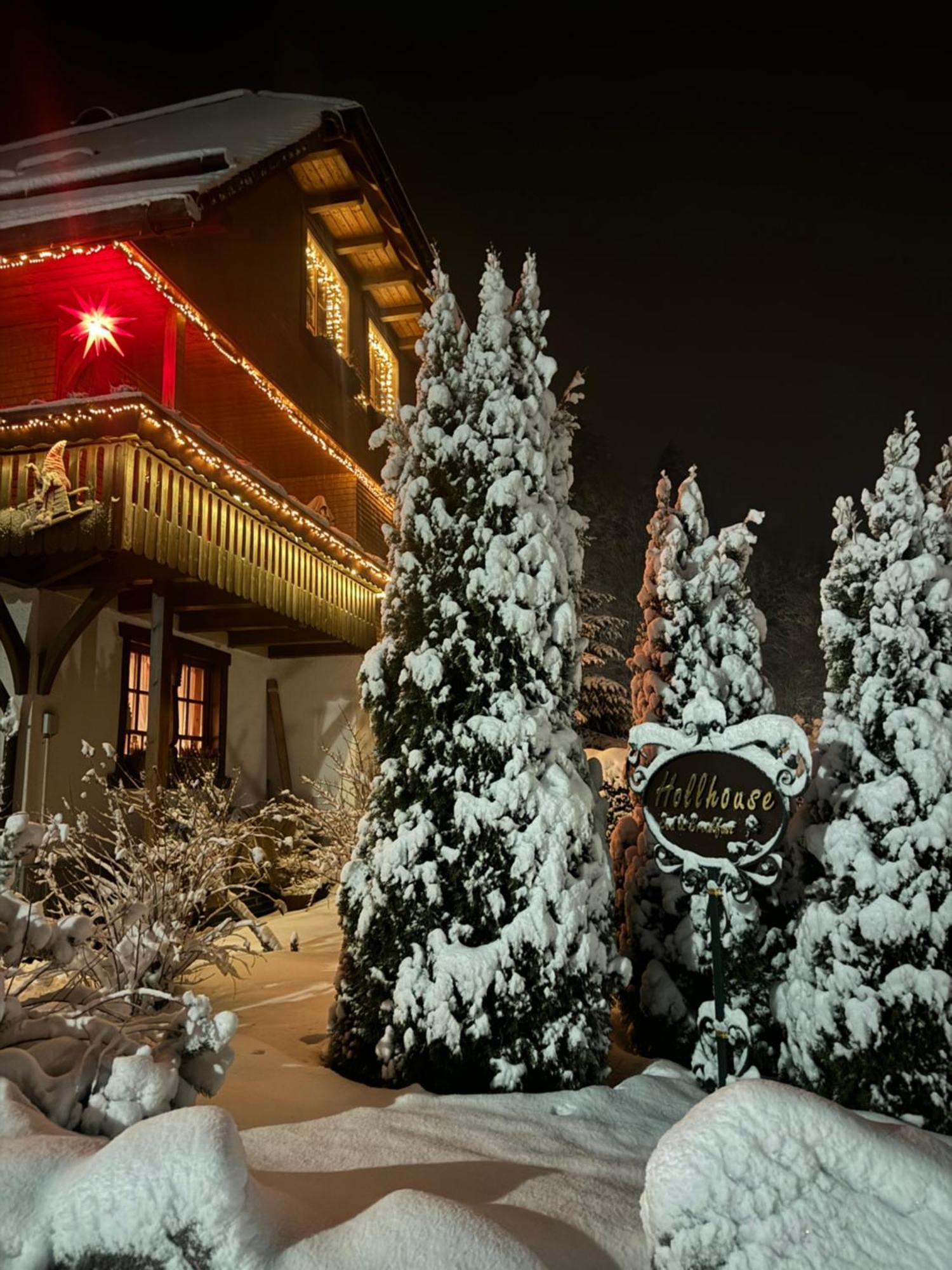 Hollhouse - Bed & Breakfast Hinterzarten Eksteriør billede