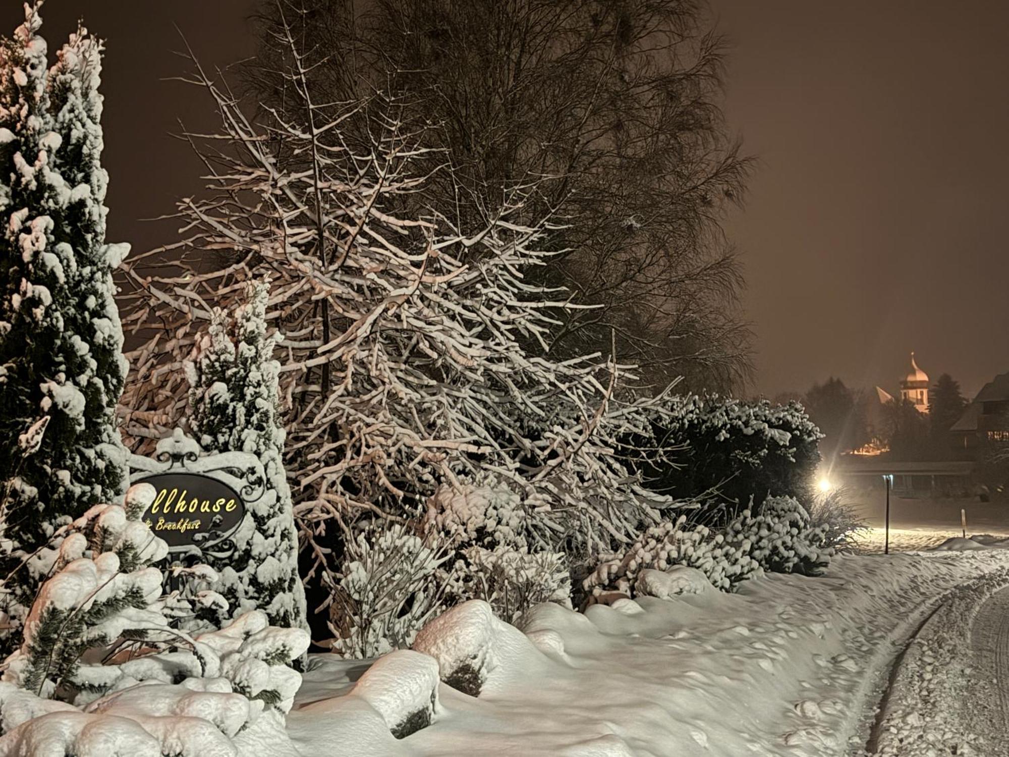 Hollhouse - Bed & Breakfast Hinterzarten Eksteriør billede