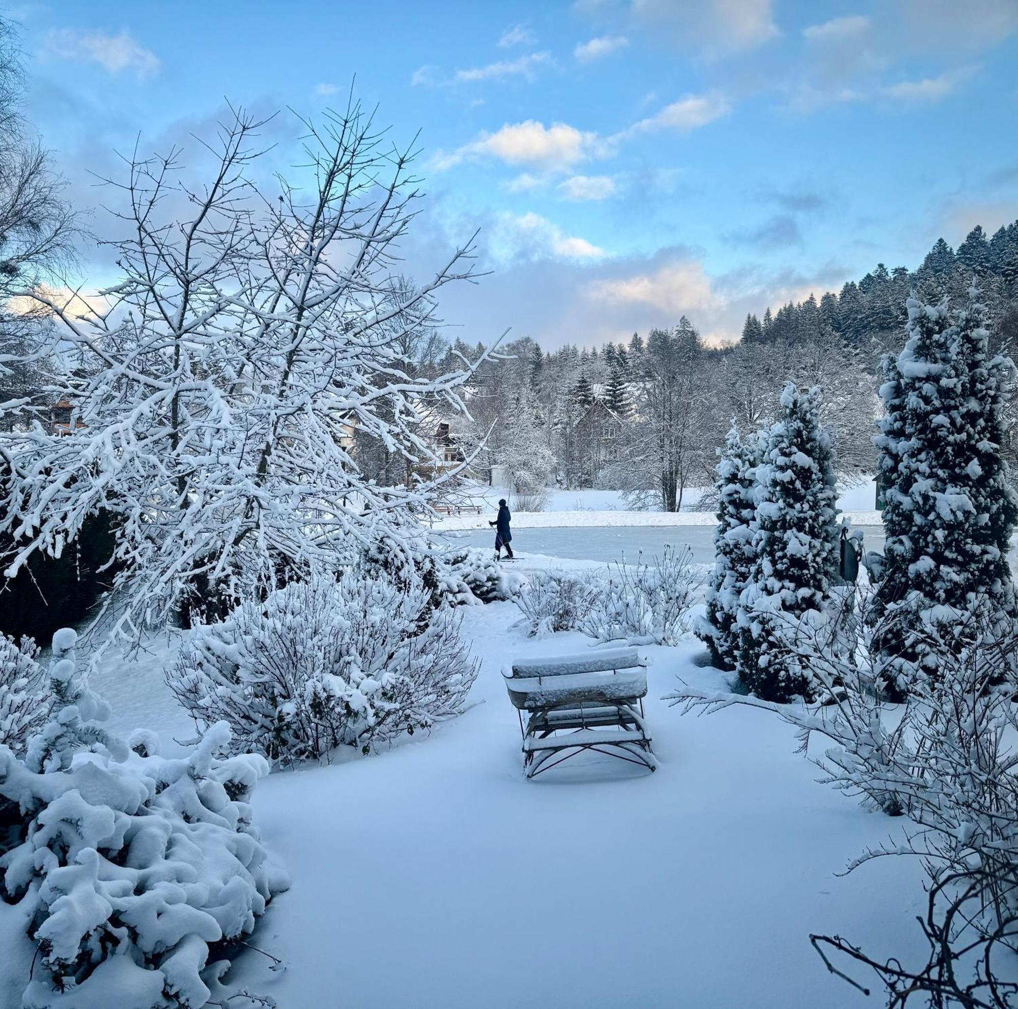 Hollhouse - Bed & Breakfast Hinterzarten Eksteriør billede